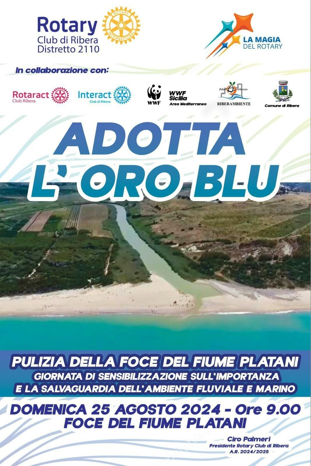 pulizia dell